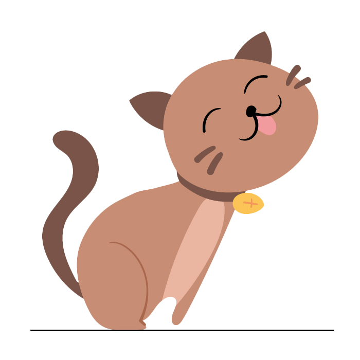 rosy-costa-veterinaria-sobre-gato rosy-costa-veterinaria-sobre-gato