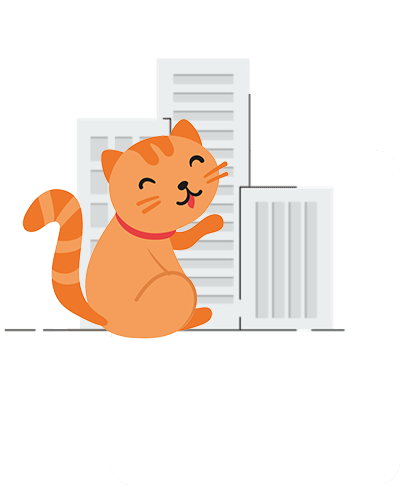 rosy-costa-veterinaria-splash-gato rosy-costa-veterinaria-splash-gato